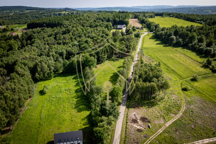 Działka Sprzedaż Lubenia 4