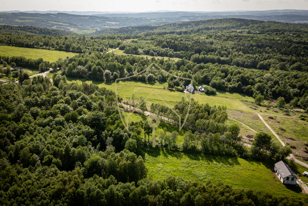 Działka Sprzedaż Lubenia