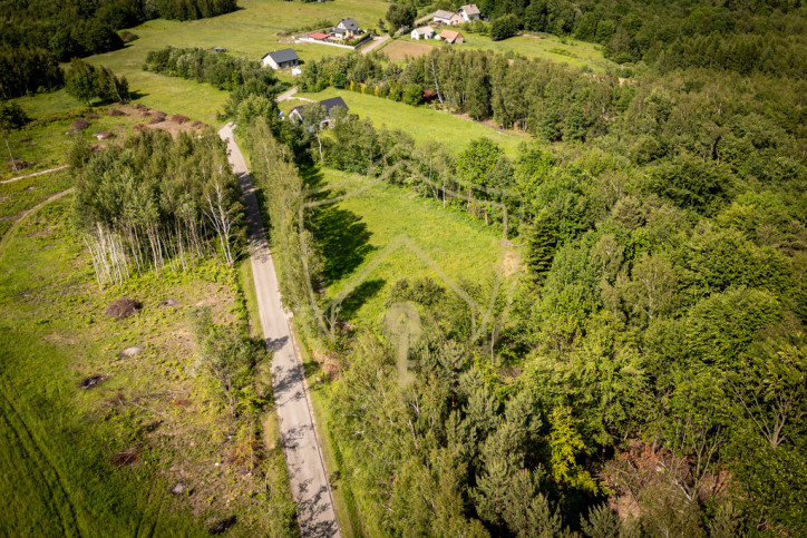 Działka Sprzedaż Lubenia 7