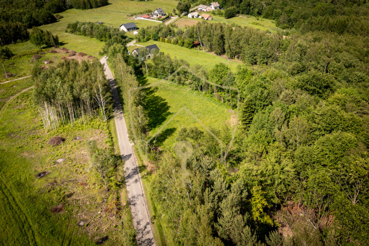 Działka Sprzedaż Lubenia 7