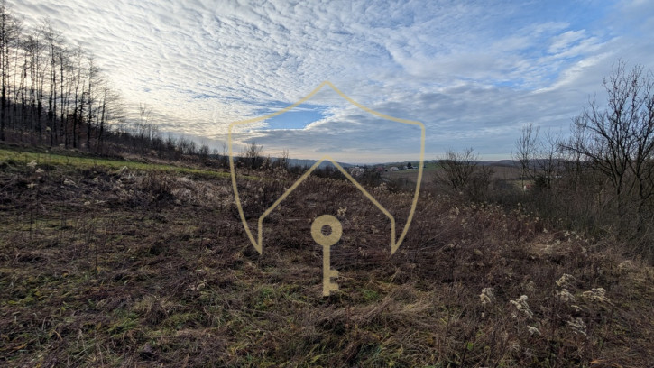 Działka Sprzedaż Góra Ropczycka 2