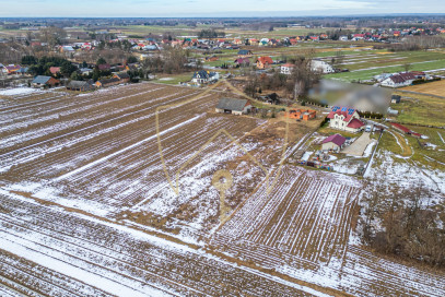Działka Sprzedaż Trzciana