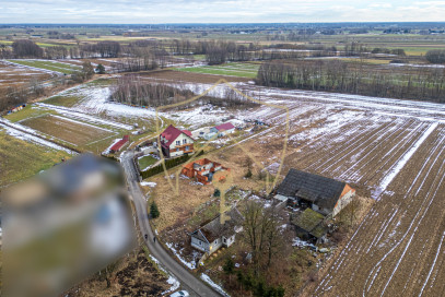 Działka Sprzedaż Trzciana
