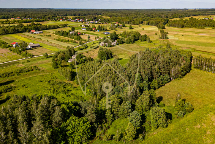 Działka Sprzedaż Wola Raniżowska 8