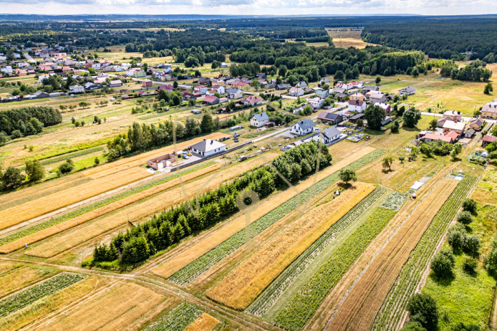Działka Sprzedaż Budy Głogowskie 9