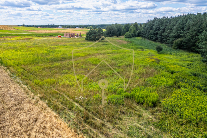 Działka Sprzedaż Przewrotne 6