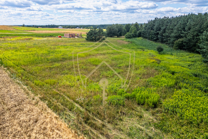 Działka Sprzedaż Przewrotne 6