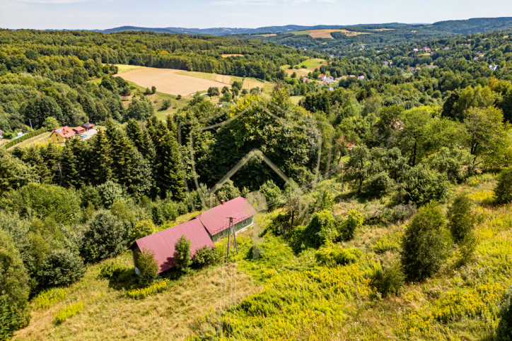 Dom Sprzedaż Jawornik 6