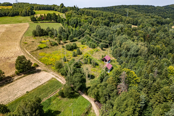 Dom Sprzedaż Jawornik 10