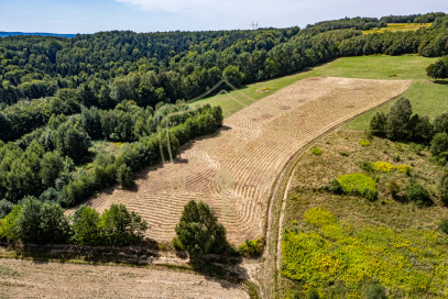 Działka Sprzedaż Jawornik