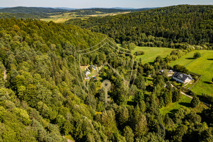 Działka Sprzedaż Czaszyn Brzozowiec 5