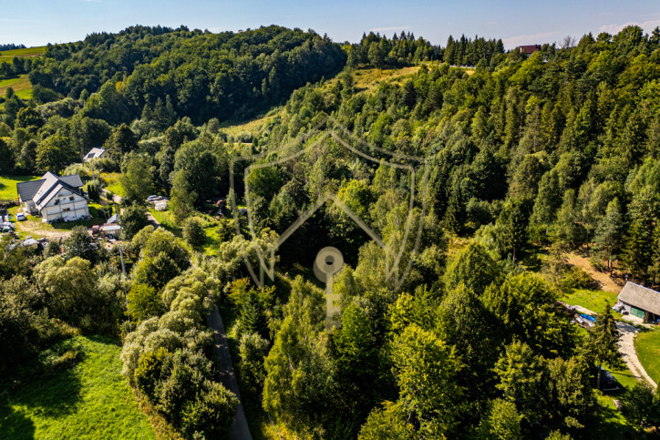 Działka Sprzedaż Czaszyn Brzozowiec 12